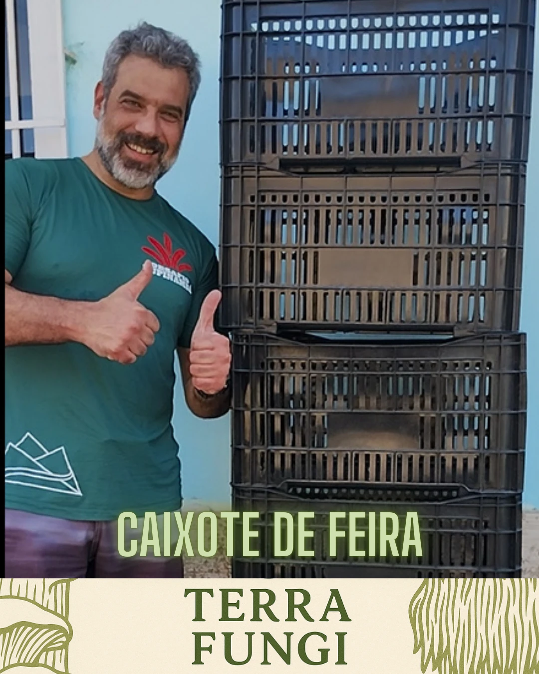 Caixotes de Feira: Organização e Praticidade no Desenvolvimento do Micélio