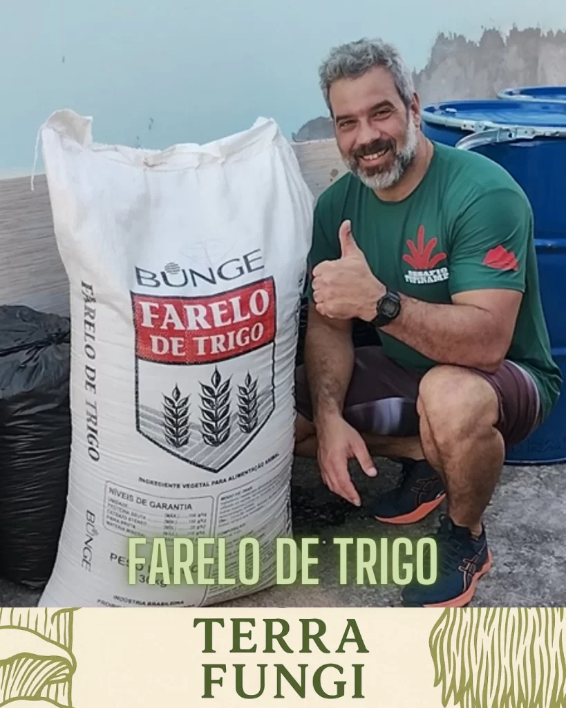 Farelo de Trigo: Suplemento Essencial no Substrato para Produção de Cogumelos