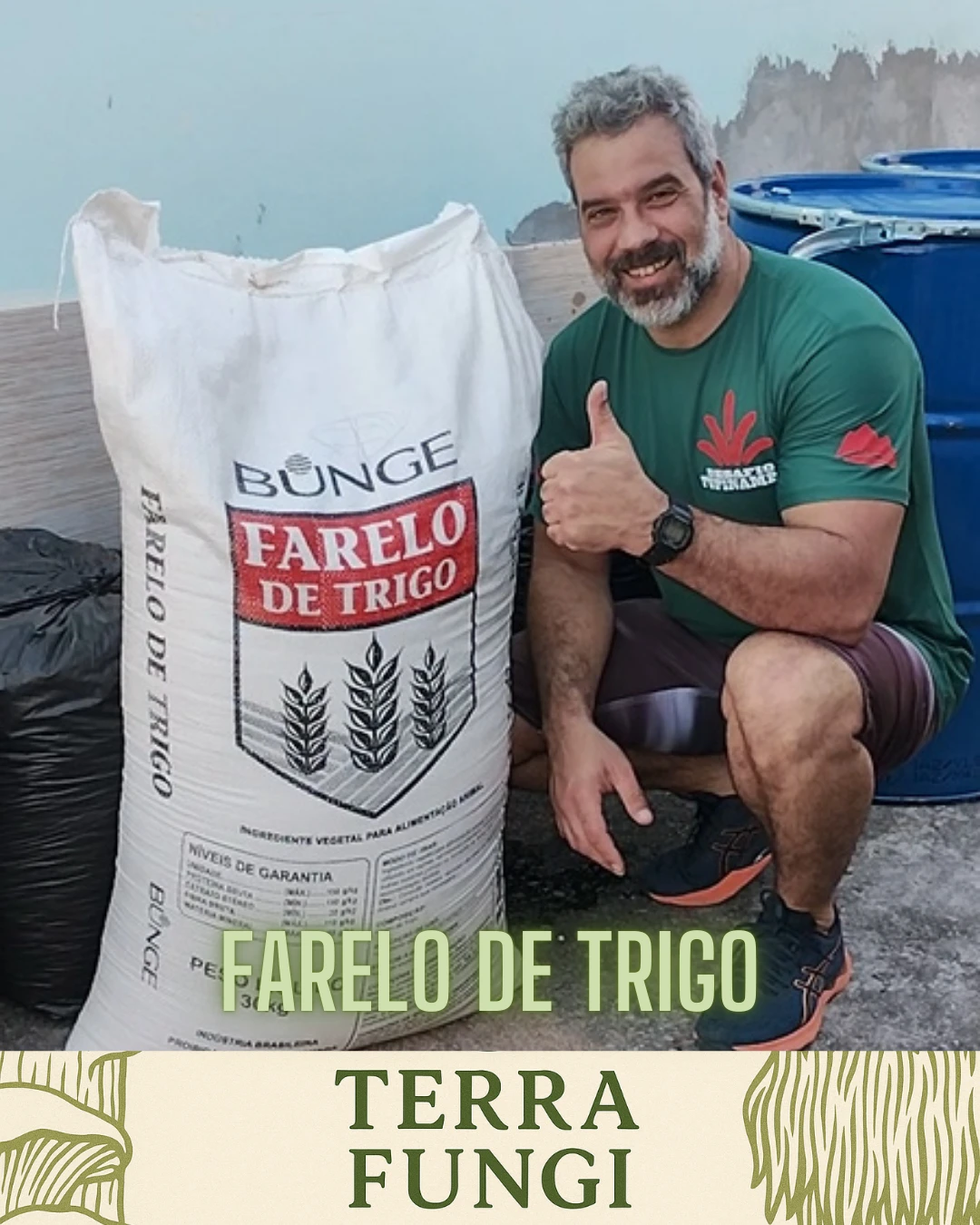 Farelo de Trigo: Suplemento Essencial no Substrato para Produção de Cogumelos