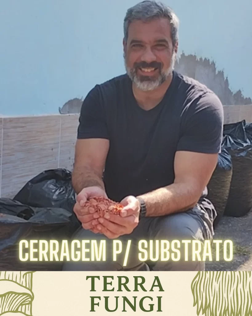 Serragem: A Base do Substrato para Produção de Cogumelos
