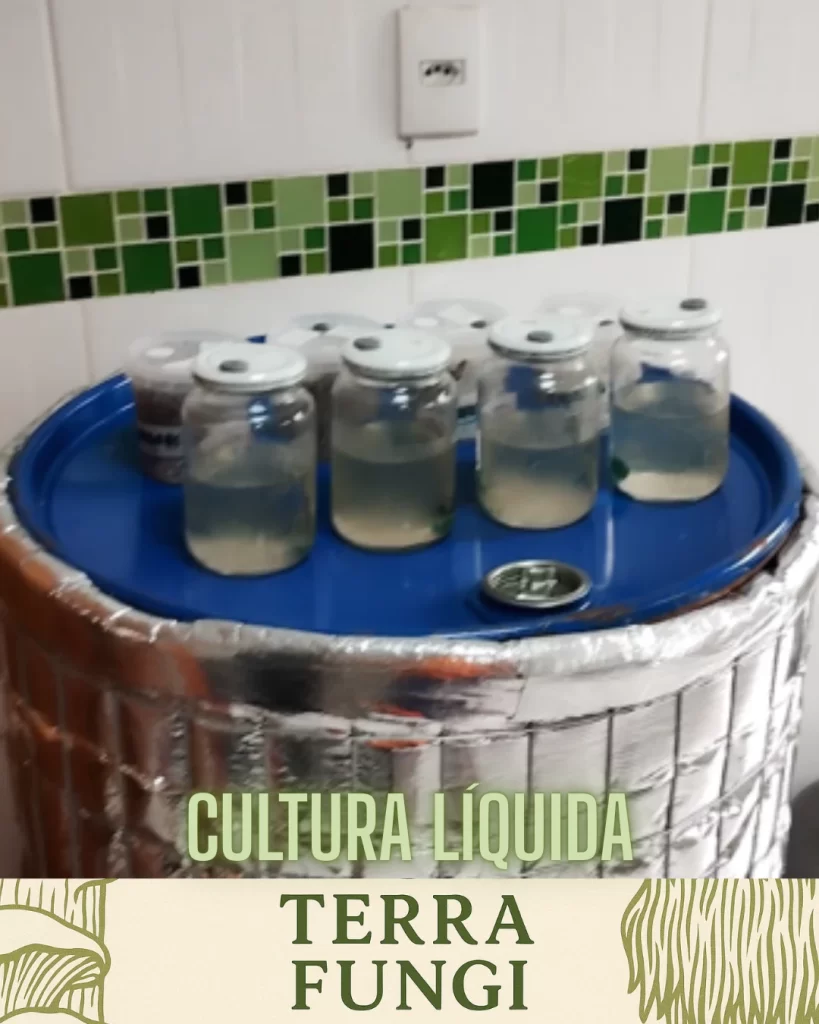 Como Inocular Culturas Líquidas Sem Contaminar – Guia Prático para Cultivo de Cogumelos em Casa