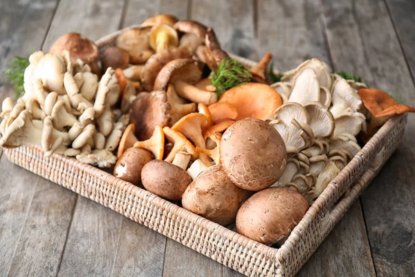 Coguemelos Funcionais - Terra Fungi