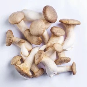 Cogumelo Eryngi – Terra Fungi
