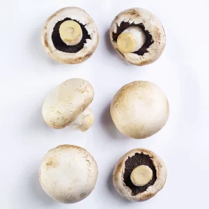 Cogumelo Paris – Terra Fungi