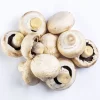 Cogumelo Paris – Terra Fungi