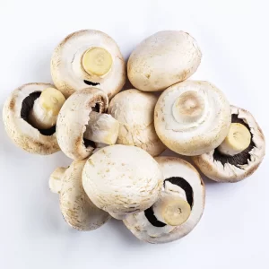 Cogumelo Paris – Terra Fungi