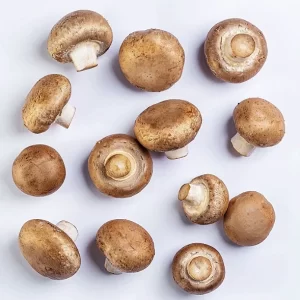 Cogumelo Portobello - Terra Fungi