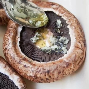 Cogumelo Portobello - Terra Fungi