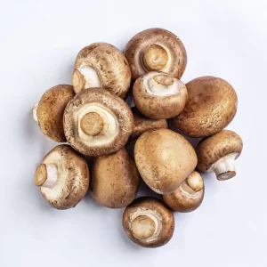 Cogumelo Portobello - Terra Fungi
