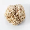 Cogumelo Shimeji Branco - Terra Fungi