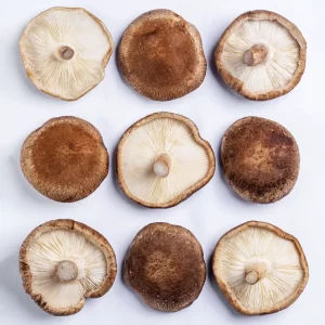 Cogumelo Shitake - Terra Fungi