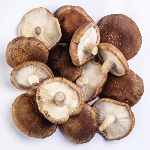 Cogumelo Shitake - Terra Fungi