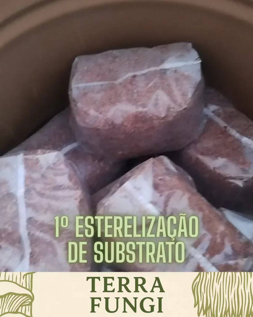 Esterilização do Substrato: 10 Horas na Autoclave Caseira de 200 Litros