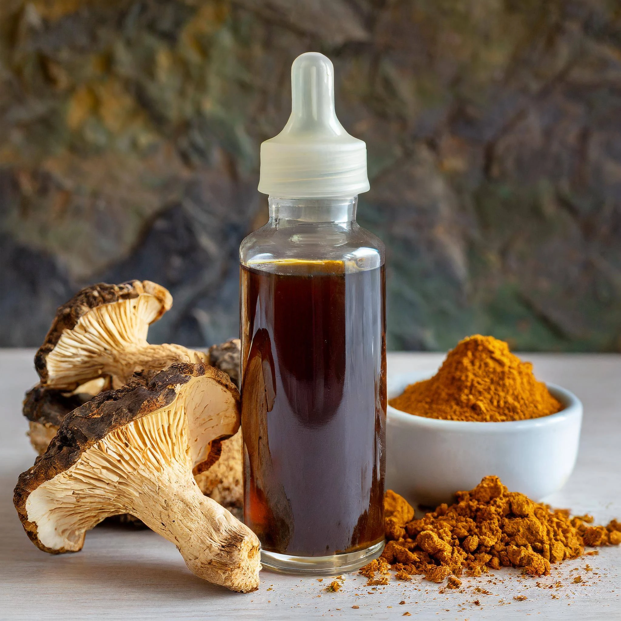 Extrato de Cogumelo - Terra Fungi