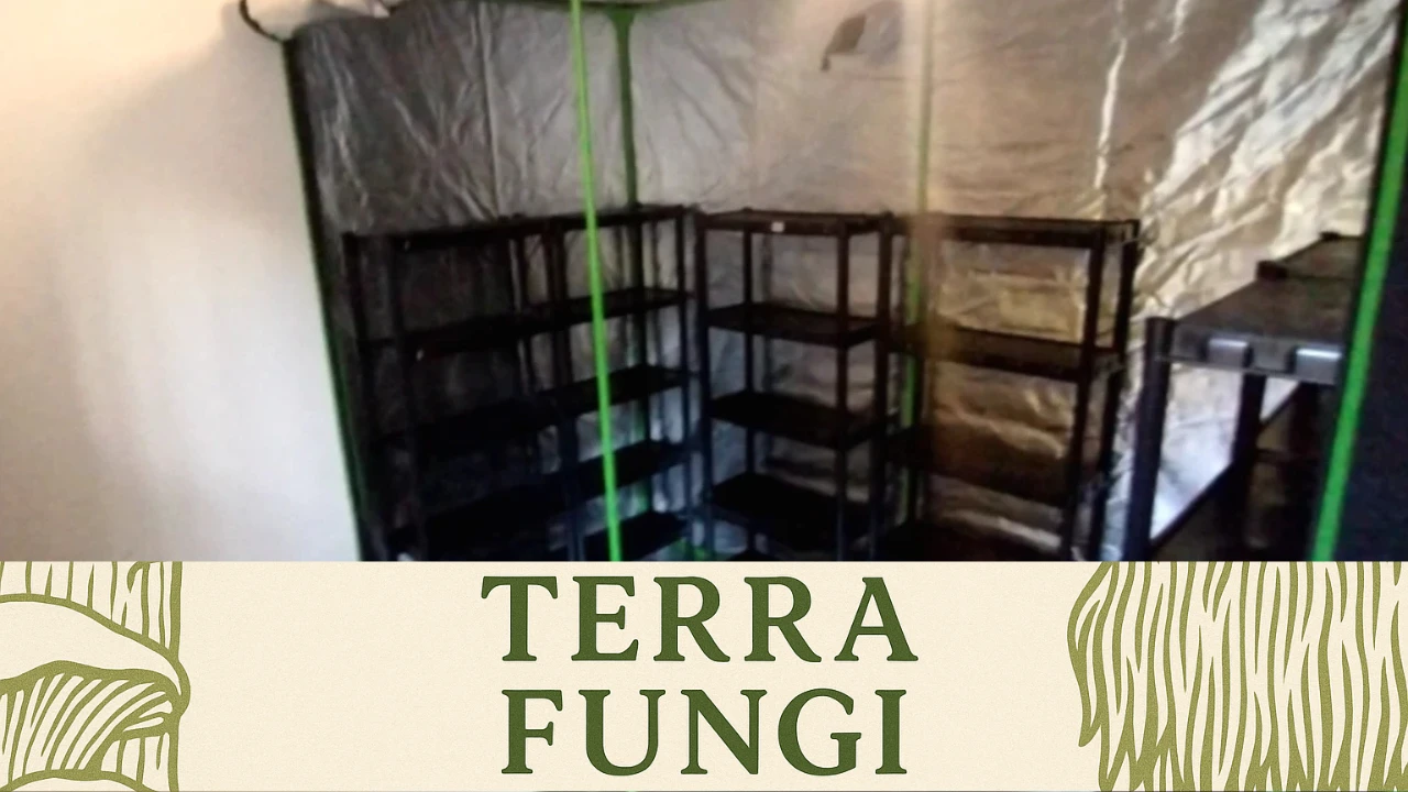 Montando Minha Tenda de Cultivo Indoor – Fácil, Difícil e Muito Engraçado!