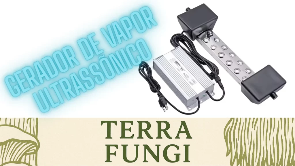 Segundo Gerador de Vapor Ultrassônico de 10 Cabeças: Expansão da Estrutura para a Sala de Frutificação