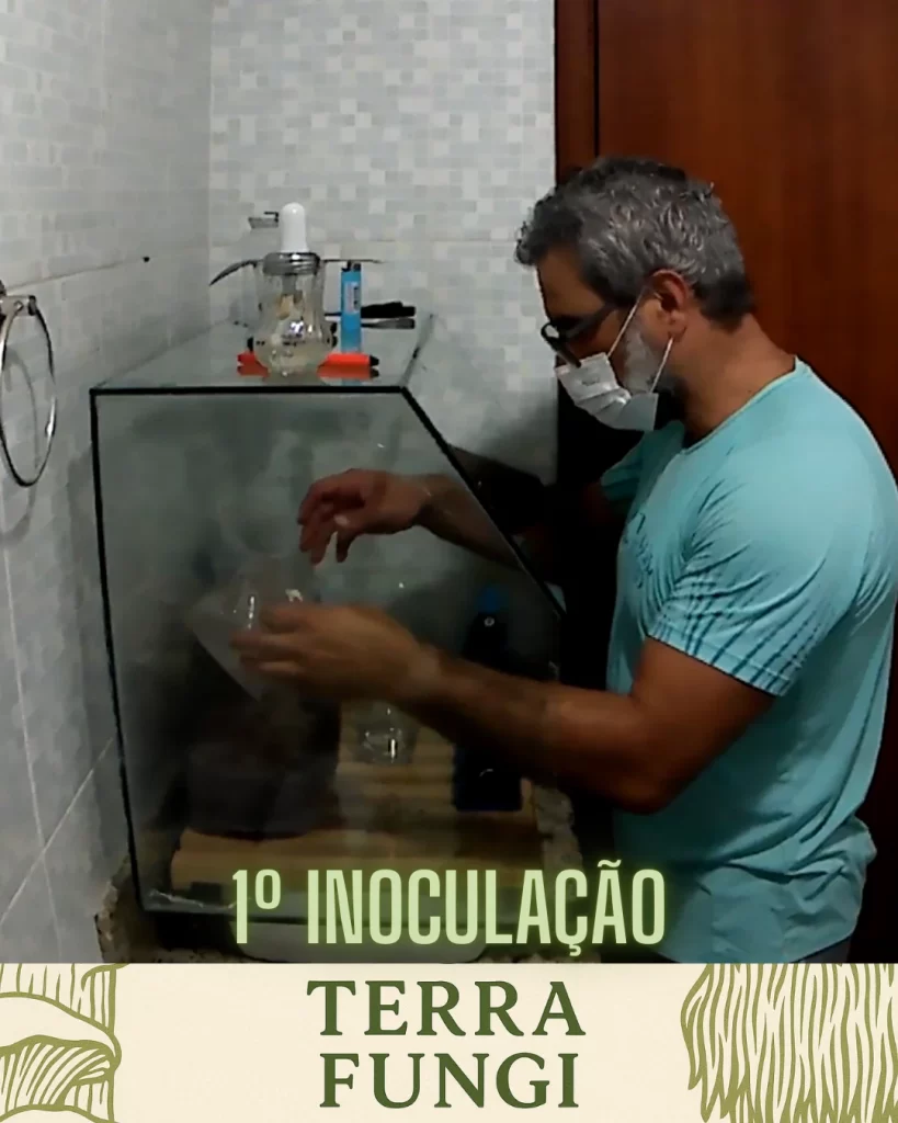 Primeira Inoculação no Laboratório Caseiro: Um Marco na Produção de Cogumelos