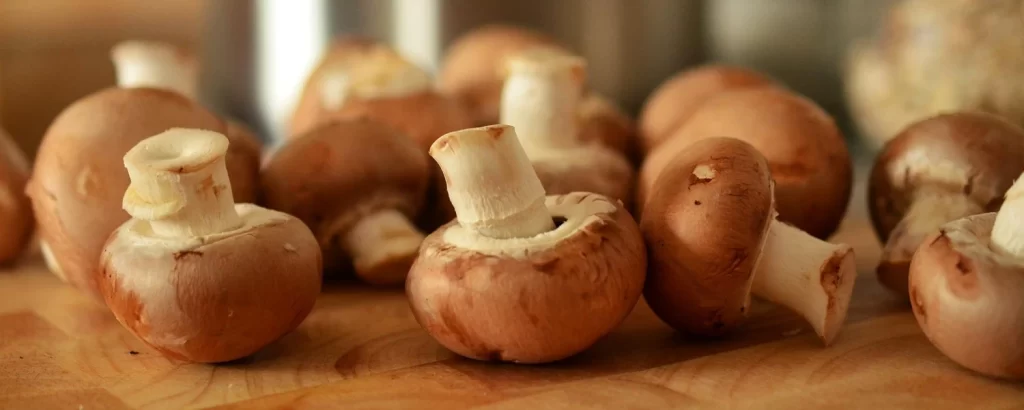 O que é Umami? Descubra sobre o quinto sabor do paladar